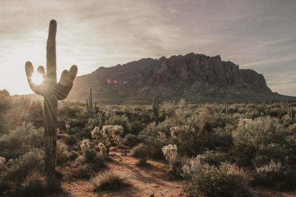 Superstition, Tonto National Forest, Chandler, Arizona, USA